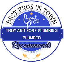 best in town badge
